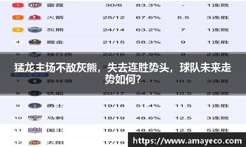 猛龙主场不敌灰熊，失去连胜势头，球队未来走势如何？