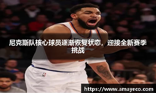 尼克斯队核心球员逐渐恢复状态，迎接全新赛季挑战