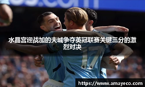 水晶宫迎战加的夫城争夺英冠联赛关键三分的激烈对决